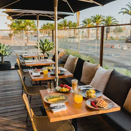 Avenida (adults Only)